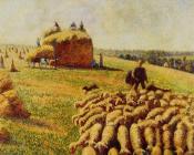 卡米耶毕沙罗 - Flock of Sheep in a Field after the Harvest